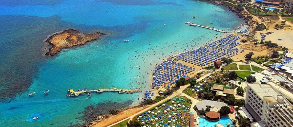 Fig tree bay